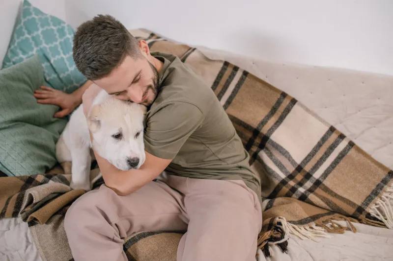 The Quiet Witnesses: How Pets Carry Us Through Addiction and Into Recovery